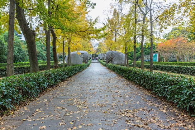 Free photo footpath by statues at ming xiaoling mausoleum