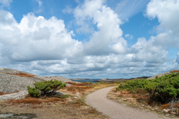 Free photo footpath surrounded by rocks and grass in a field under a cloudy sky and sunlight at daytime