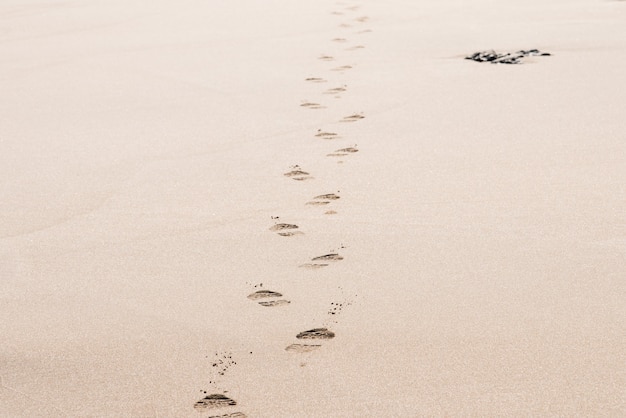 Free photo footprints of a man on the desert sand on a sunny day