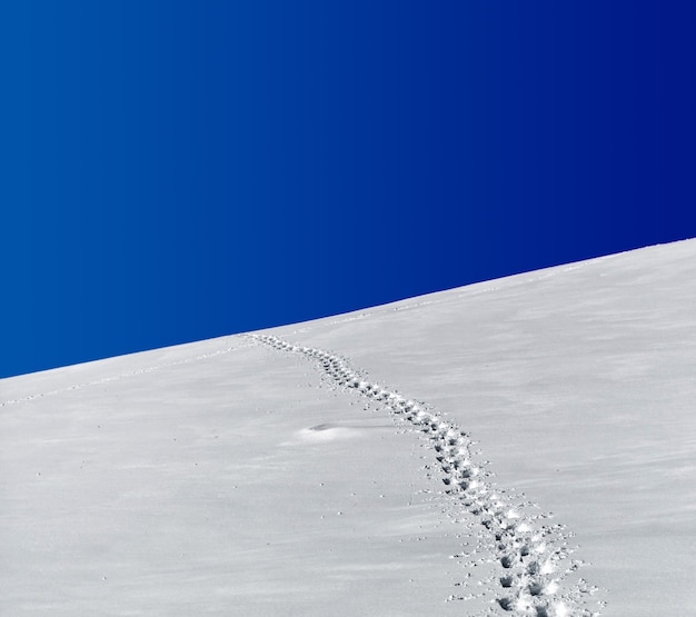 Free photo footprints in snow field under blue sky