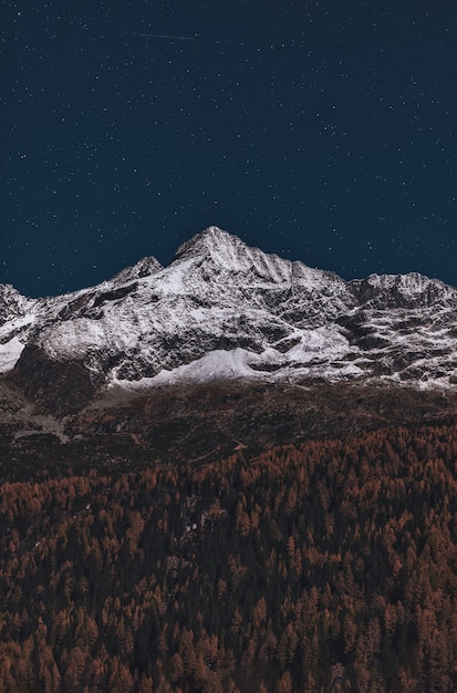 Free Photo forest and snow covered mountain