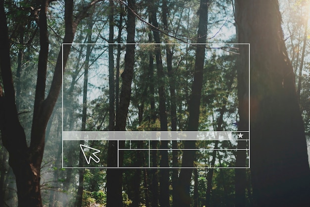 Free photo forest website layout blank banner