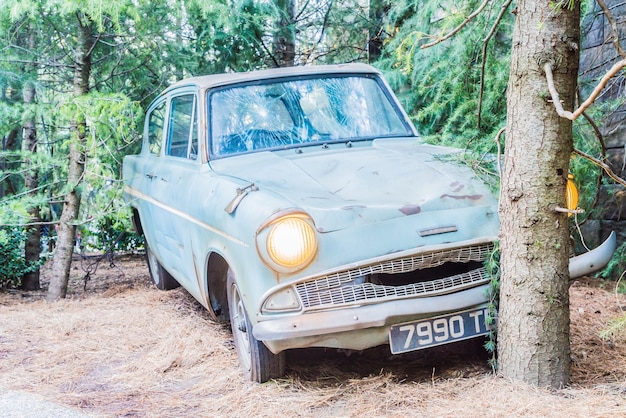 Forest with an abandoned car