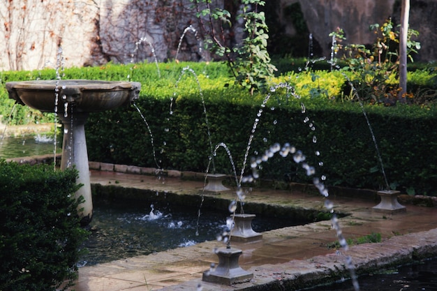 Free photo fountains in the garden