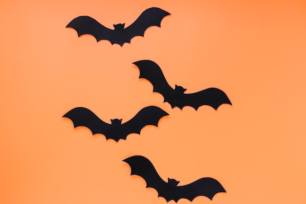 Four bats prepared for Halloween 