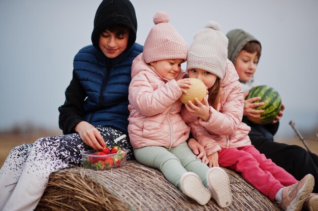 Four kids with fruits in hands sitting on haycock at field