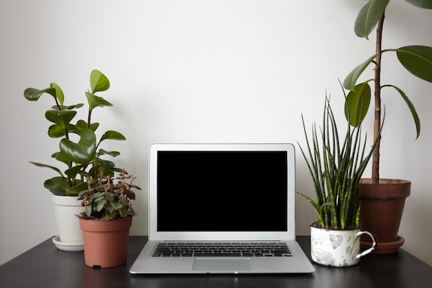 four plant pots and open notebook pc with black screen on desk.