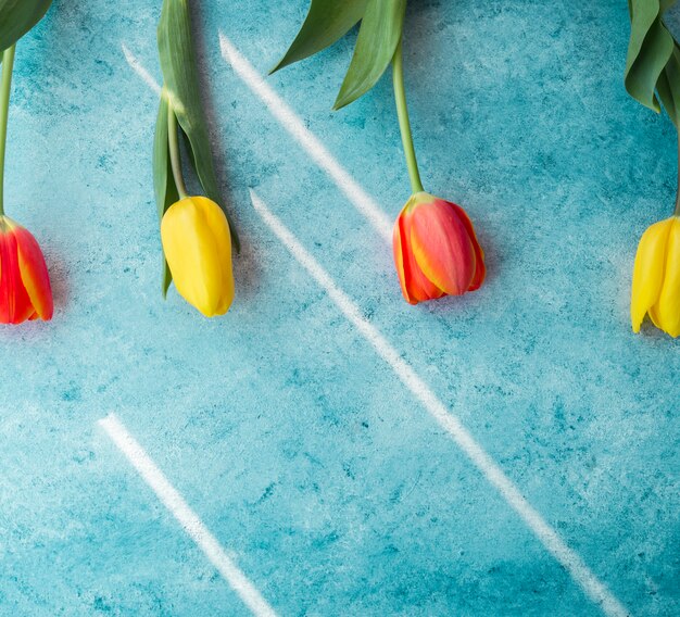 Free Photo four tulip flowers on table