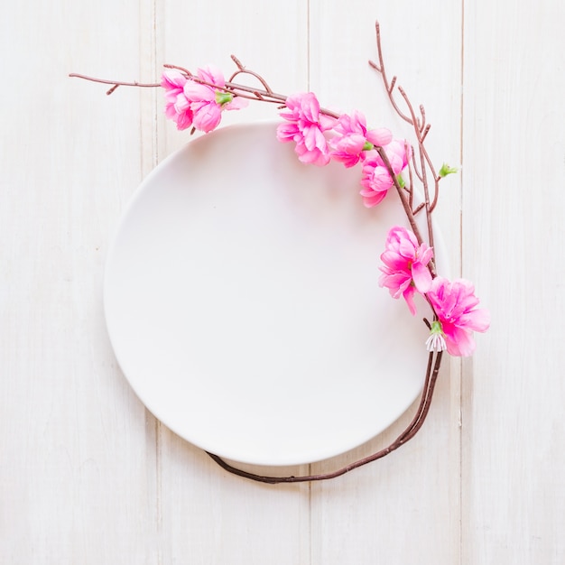 Free photo fragile blooming twig near plate