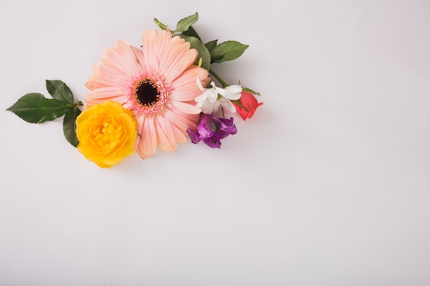 Fragile floral composition on white