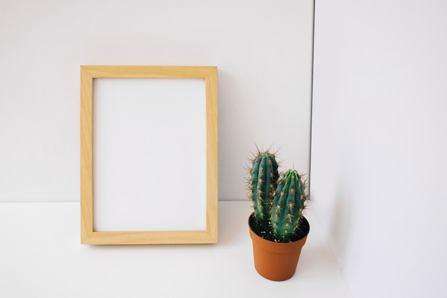 Free photo frame and cactus