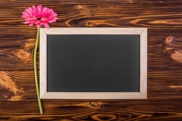 Free Photo frame chalkboard with pink gerbera