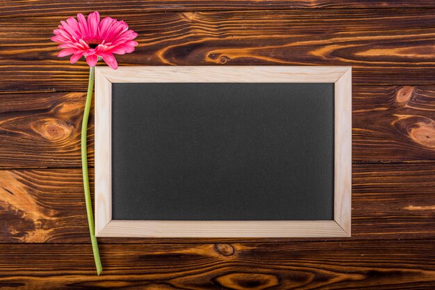 Frame chalkboard with pink gerbera