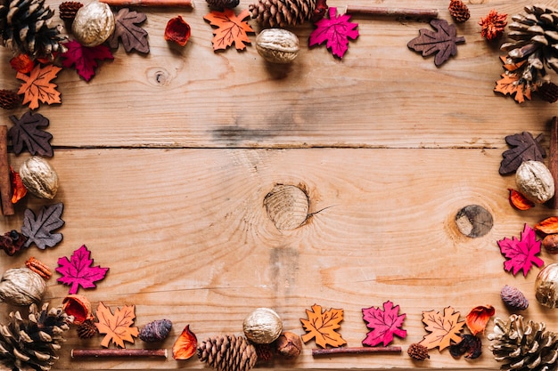 Free Photo frame of cones and leaves