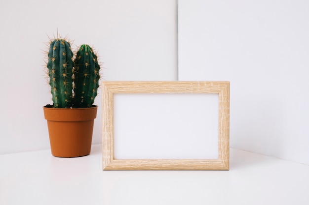 Frame in corner next to cactus