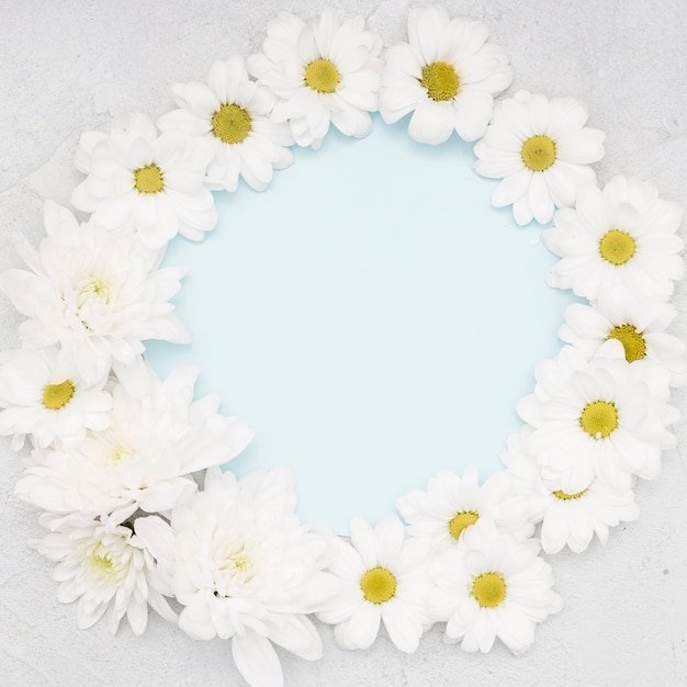 Frame of daisies and copy space