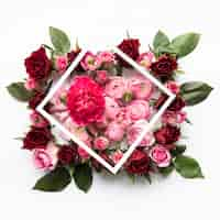 Free photo frame on flowers and leaves