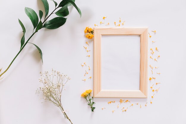 Frame and flowers