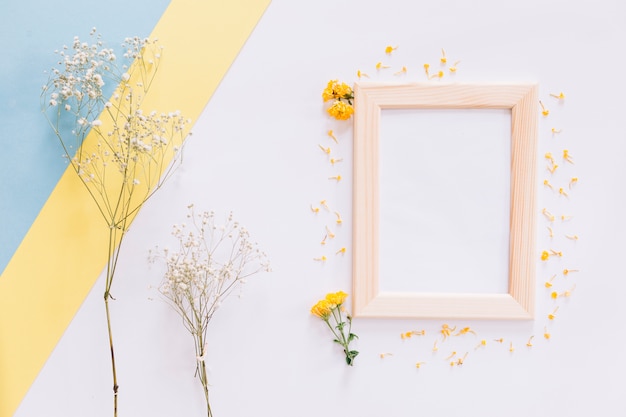 Free photo frame and flowers