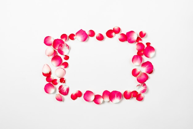 Free photo frame from flower petals