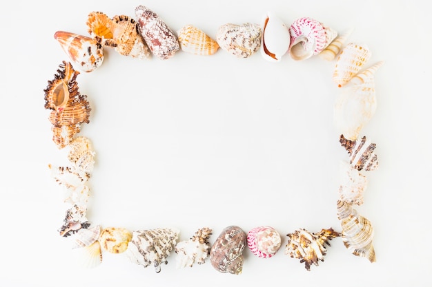 Free photo frame from seashells