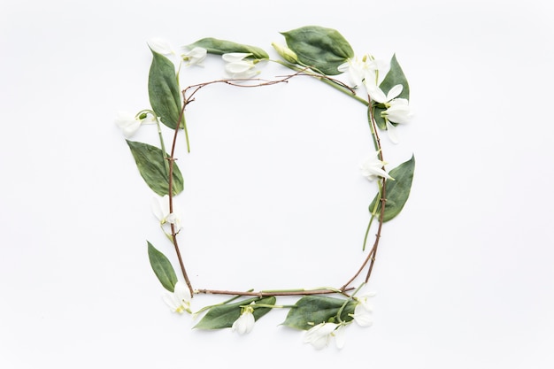 Frame from twigs and snowdrops