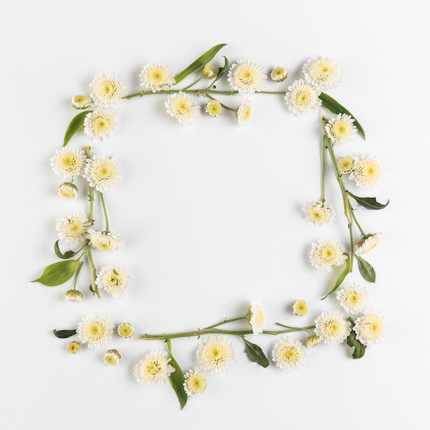 Free photo frame made with chrysanthemum flowers and twig on white background