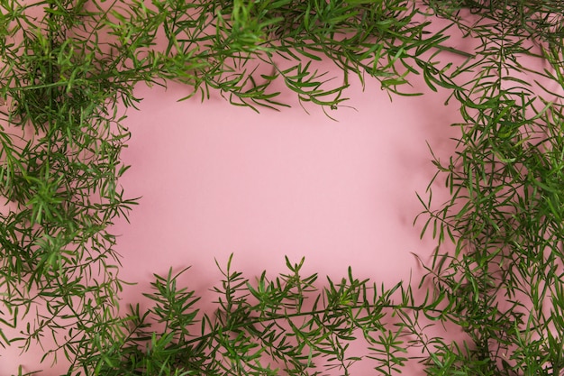 Free photo frame made with green twig leaves on pink background