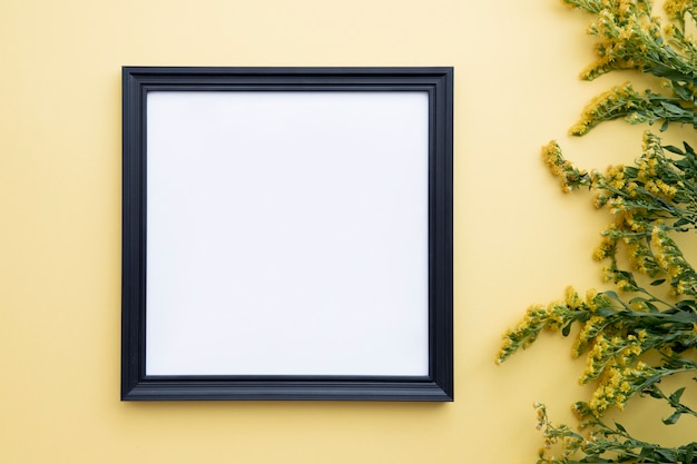 Frame near yellow flowers