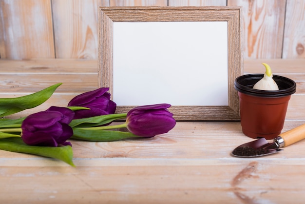 Free photo frame template with gardening concept