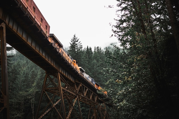 Free Photo freight train on bridge