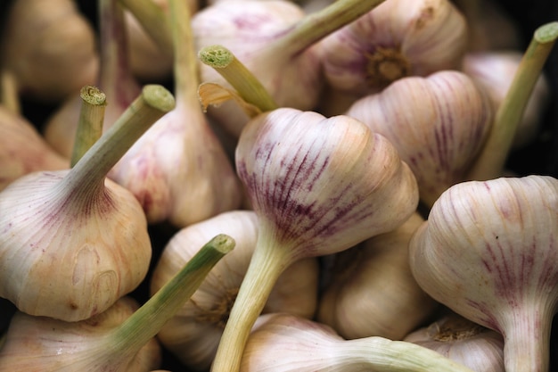 Free photo fresh aromatic garlic bulbs