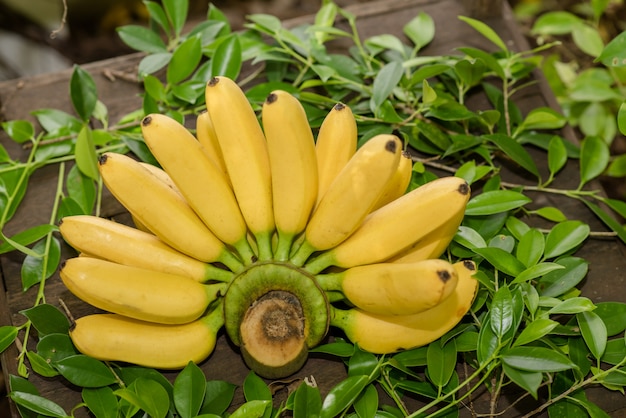 Fresh Banana on table