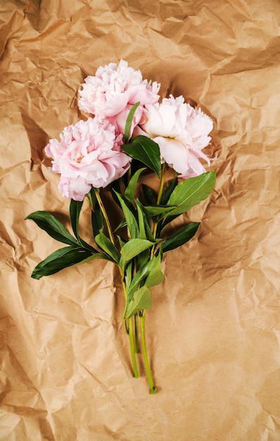 Free Photo fresh beautiful peony flowers