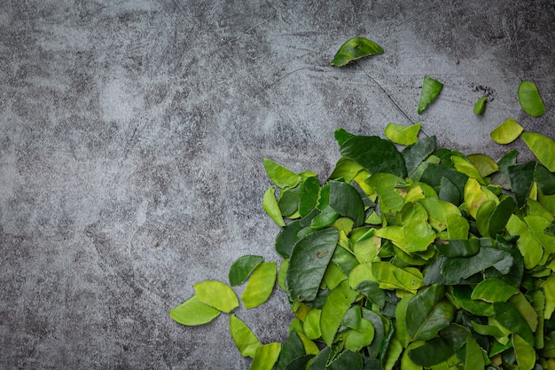 Free photo fresh bergamot leaves on dark floor