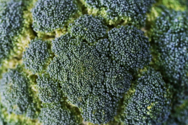 Free photo fresh broccoli background