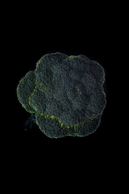 Fresh broccoli isolated over black