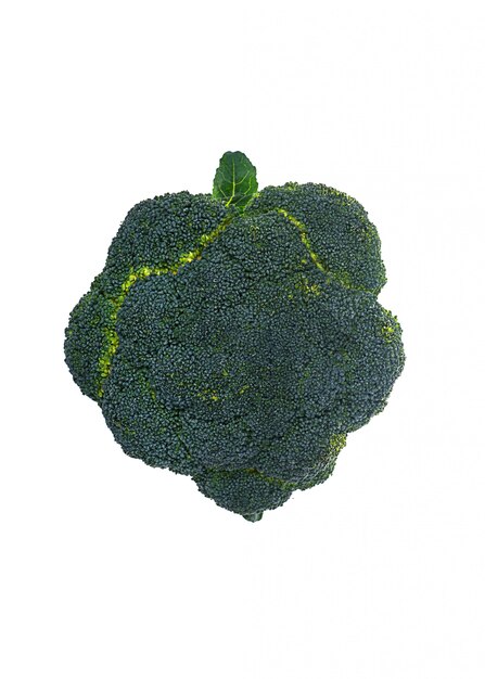 Fresh broccoli isolated over white