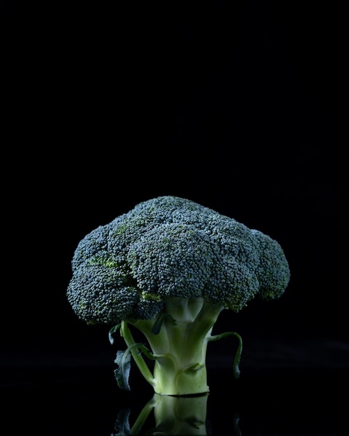 Fresh Broccoli