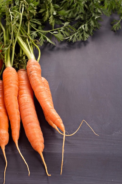 Fresh carrot with green leaves