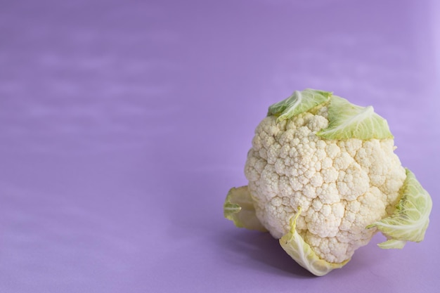 Free photo fresh cauliflower on a purple background with hard shadows, copy space