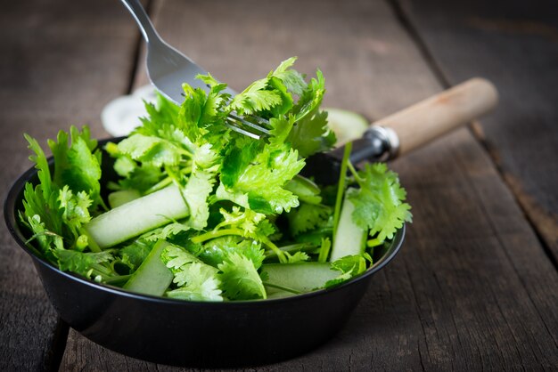 fresh cilantro salad, coriander with cucumber salad. Healthy food concept.