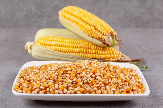 Fresh corn ears with uncooked corn beans 