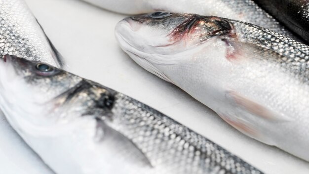 Fresh fish on white table