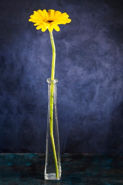 Free photo fresh flower in narrow vase