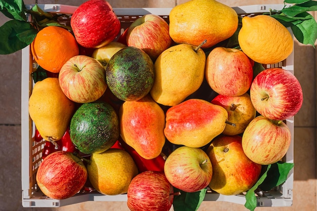 Free photo fresh fruit basket from the farmers' market fresh natural seasonal fruits healthy and varied nutrition the basis of life top view