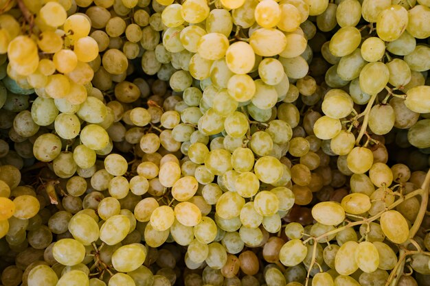 Fresh grapes background