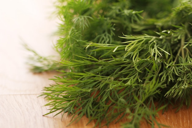 Free photo fresh green dill