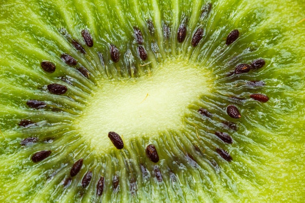 Free photo a fresh green kiwi fruit