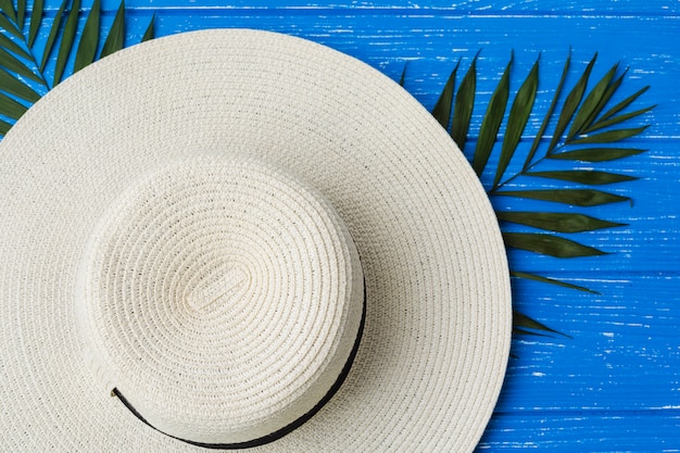 Fresh green plant foliage near hat